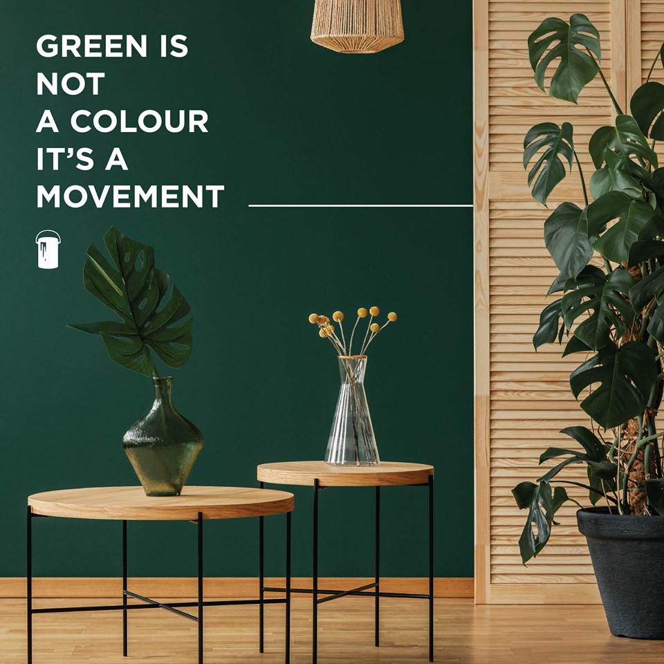 59978643_2650101641728769_5889960249556729856_n